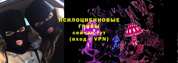PSILOCYBIN Алексеевка
