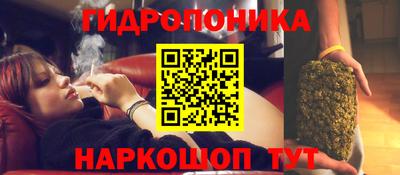 тгк Славгород