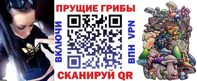 купить   Шахты  площадка состав  Галлюциногенные грибы мухоморы 