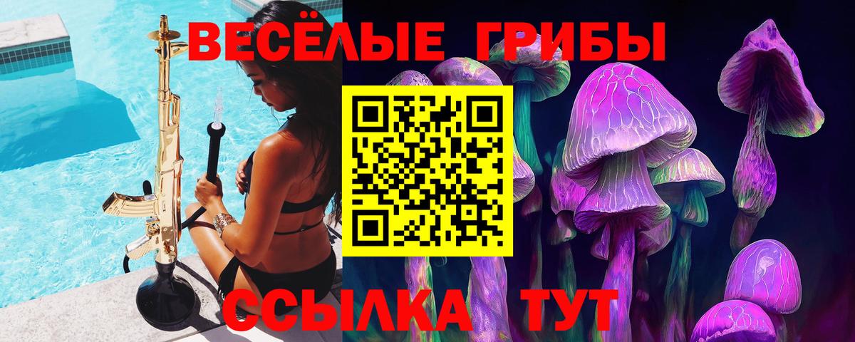 Галлюциногенные грибы мицелий Шахты