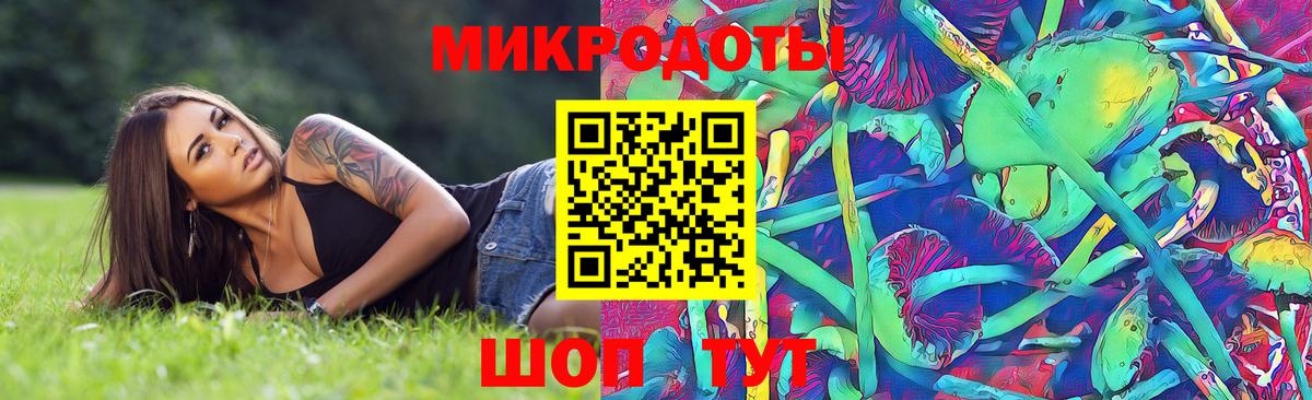 Псилоцибиновые грибы мицелий  Вход с VPN  Шахты  Псилоцибиновые грибы Psilocybine cubensis 