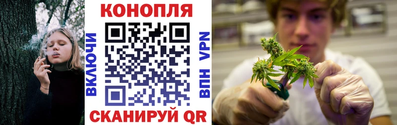 Канабис конопля Шахты
